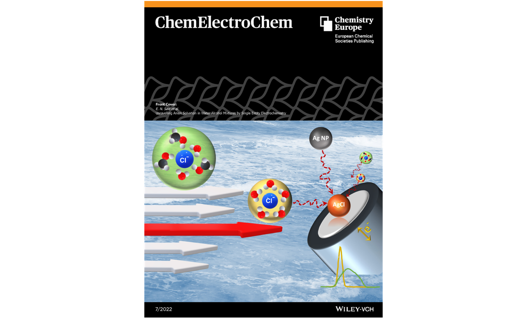 Unravelling Anion Solvation in Water-Alcohol Mixtures by Single Entity Electrochemistry