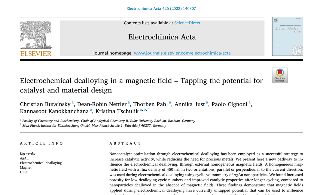 Electrochemical dealloying in a magnetic field - Tapping the potential for catalyst and material design