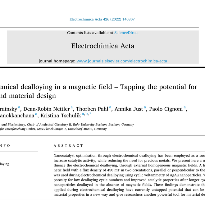 Image of: Electrochemical dealloying in a magnetic field - Tapping the potential for catalyst and material design